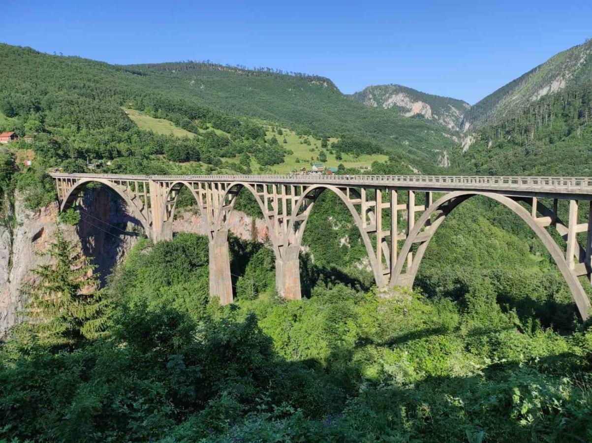 Mountain Soul Rest Villa Žabljak Екстериор снимка