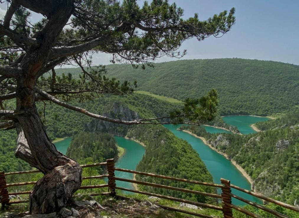 Mountain Soul Rest Villa Žabljak Екстериор снимка